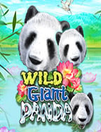 อัปเดตใหม่! ทาง เข้า joker slot ที่คุณต้องรู้